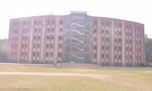 Angels Public School