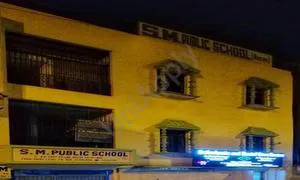 S.M. Public School, Krishna Nagar, Delhi School Building