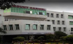 Mount Carmel School, Anand Niketan, New Delhi, Delhi