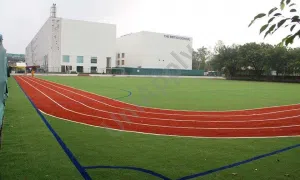 The British School, Chanakyapuri, Delhi School Building