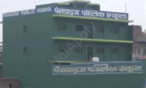 Paradise Public School, Indraprasth Colony, Burari, Delhi School Building