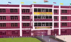 Apollo Convent School, Holambi Kalan, Delhi