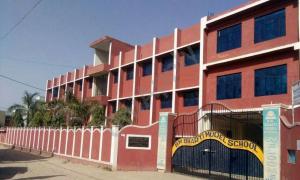 B.M. Bharti Model School, Rama Vihar, Majri, Delhi
