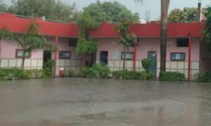 Orion Convent School