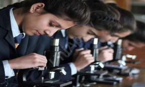 The Vivekanand School