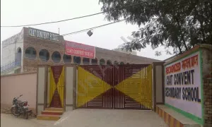 CIAT Convent School, Kanjhwala, Delhi School Building