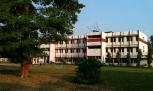 Nav Bharti Senior Secondary School, Deepali, Pitampura, Delhi Art and Craft