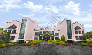 DPS International School