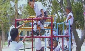 Homely Ideal Public School