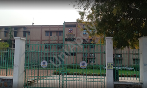 Cambridge School
