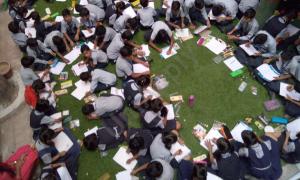 Cosmos Public School