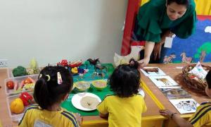 Modern Montessori International PreSchool, Delhi