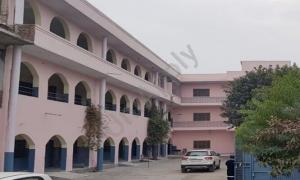 Real View Public School