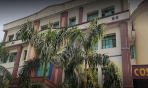 Cosmos Public School