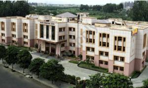 Basava International School, Sector 23, Dwarka, Delhi