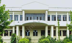 Green Fields School