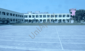 Sri Krishna Public School, Roshanpura, Najafgarh, Delhi