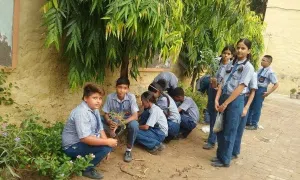 Oxford Foundation School, Gopal Nagar Extension, Najafgarh, Delhi School Event