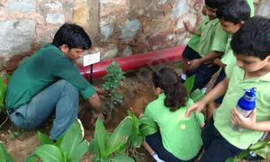 The Shri Ram School, Vasant Vihar, Delhi Gardening