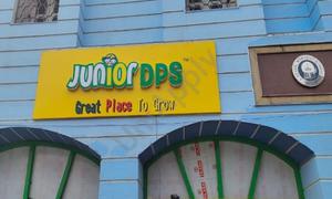 Junior DPS, Meera Bagh, Paschim Vihar, Delhi