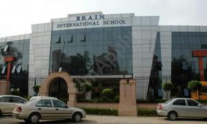 Brain International School