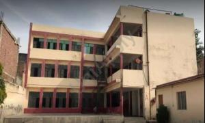 Rose Valley Public School, Nathan Vihar, Ranhola, Delhi