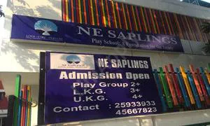 NE Saplings, Rajouri Garden, Delhi School Building