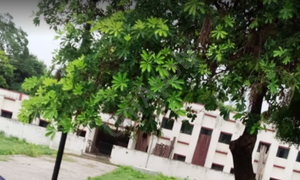 K.D Public School, Parvatiya Colony, Faridabad