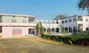 Pal Progressive Convent School