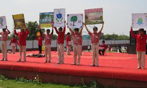 Sirohi Convent School, Sector 56, Ballabgarh, Faridabad