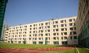 Ambience Public School, Dlf Phase 5, Gurugram