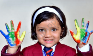 Captain Rati Ram Memorial Public School