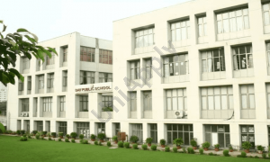 DAV Public School