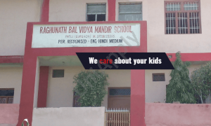 Raghunath Bal Vidya Mandir Senior Secondary School, Patli, Farrukh Nagar, Gurugram