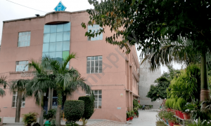 Rockford Convent High School, Sector 10 A, Gurugram