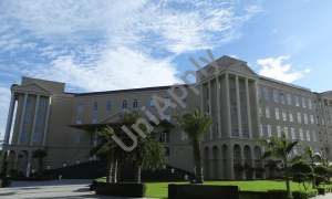 St. Xavier's High School, Sector 49, Gurugram