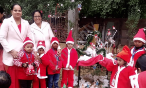 The Pine Crest School, Sector 26 A, Gurugram