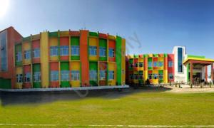 Gvm International School