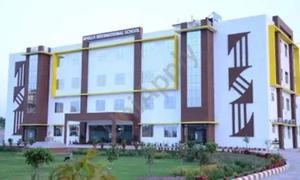 Apollo International School, Pattikalyana, Pattikalyana, Panipat