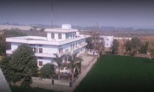 Apex Public School