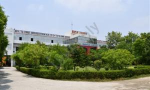 Duhan Public School