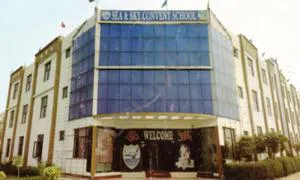 Sea & Sky Convent School, Humayunpur, Rohtak