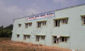 Bright Way PU College