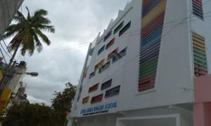 Little Angels English School