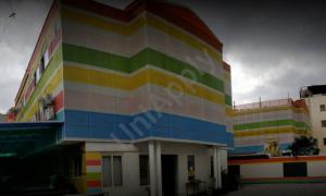 ORCHIDS The International School