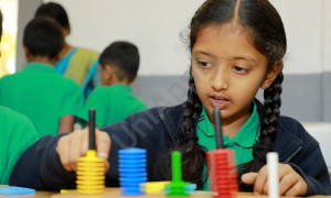 Vinayaka Public School