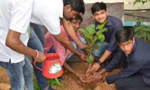 Jaihind International School, Hongasandra, Bommanahalli, Bangalore Gardening