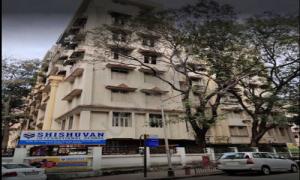 Shishuvan International  School
