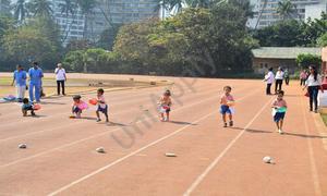 Spring Buds International Preschool