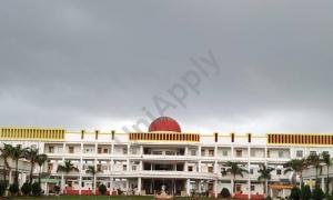 P K International School